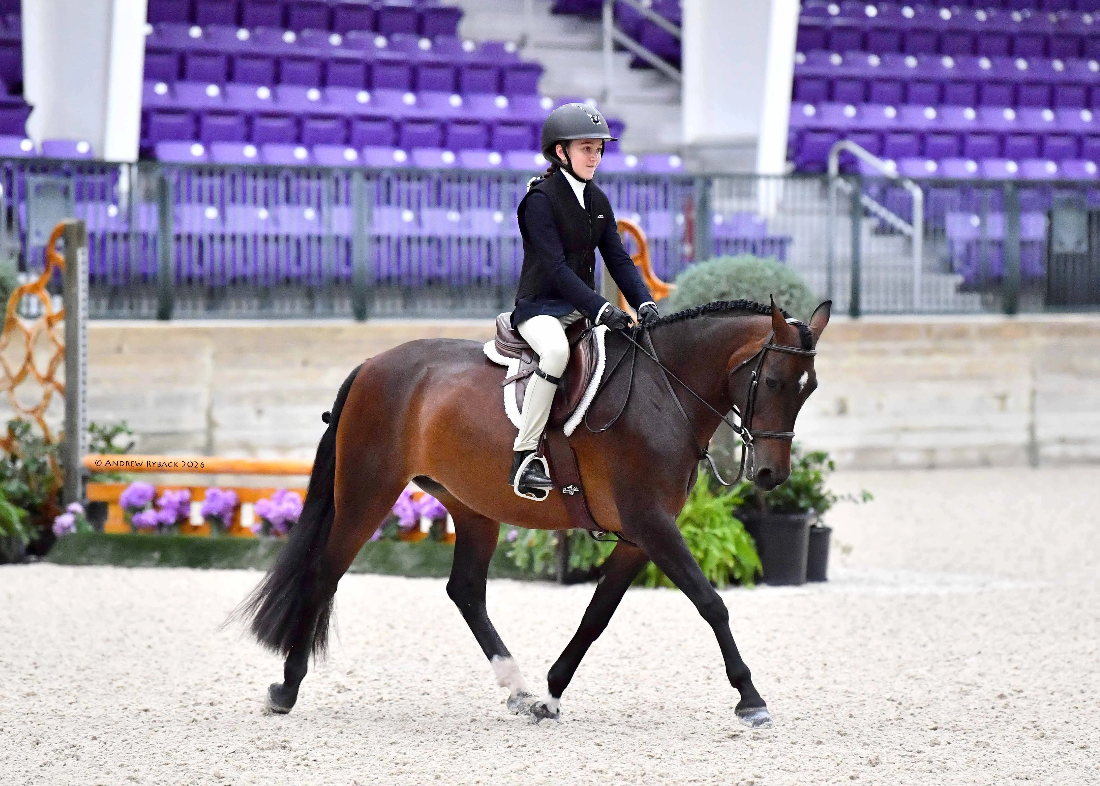 A young rider on a bay pony trotting on the flat in a show arena with purple grandstands