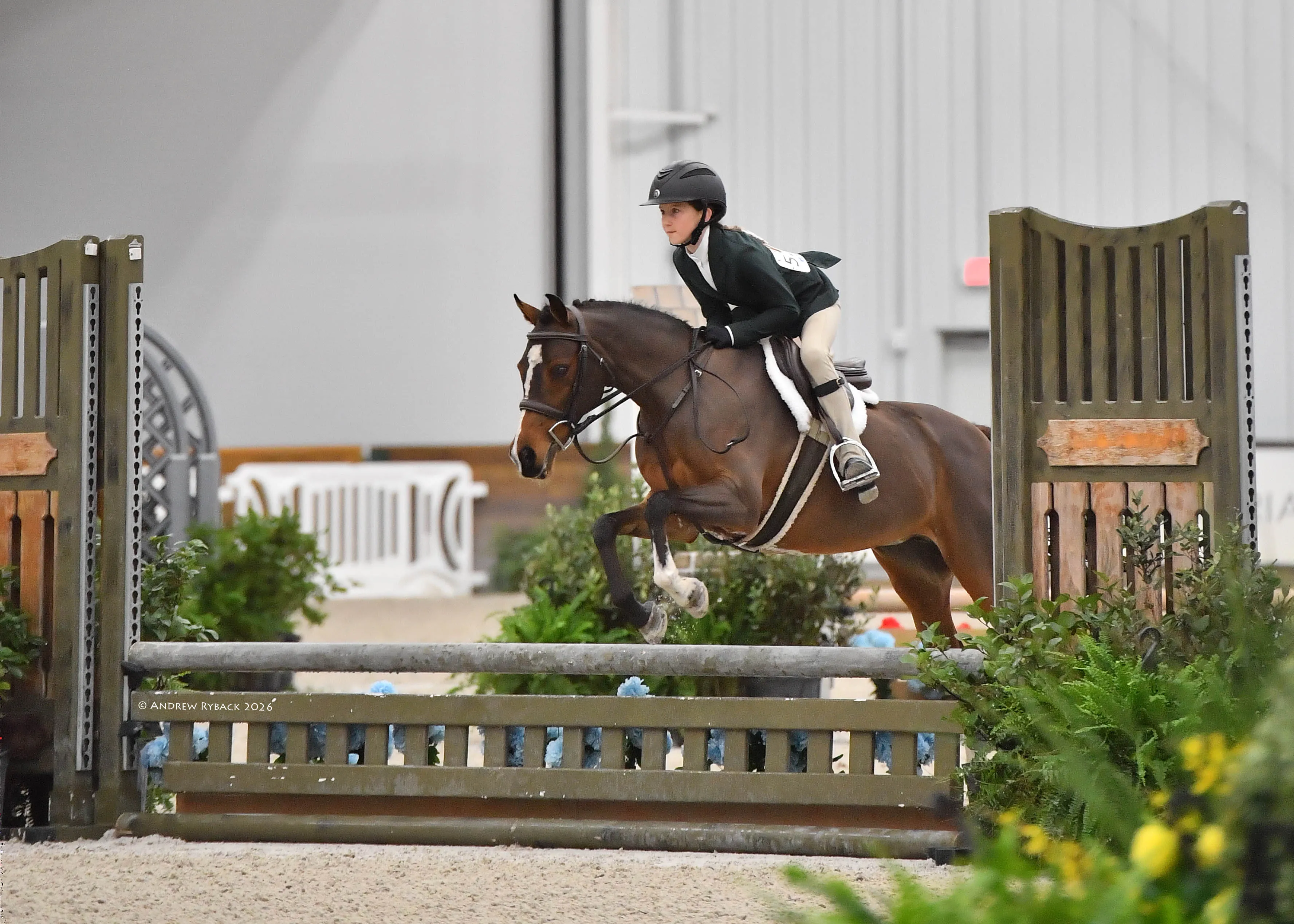 A young rider in a green show coat jumping a bay pony over a wooden gate fence in an indoor ring