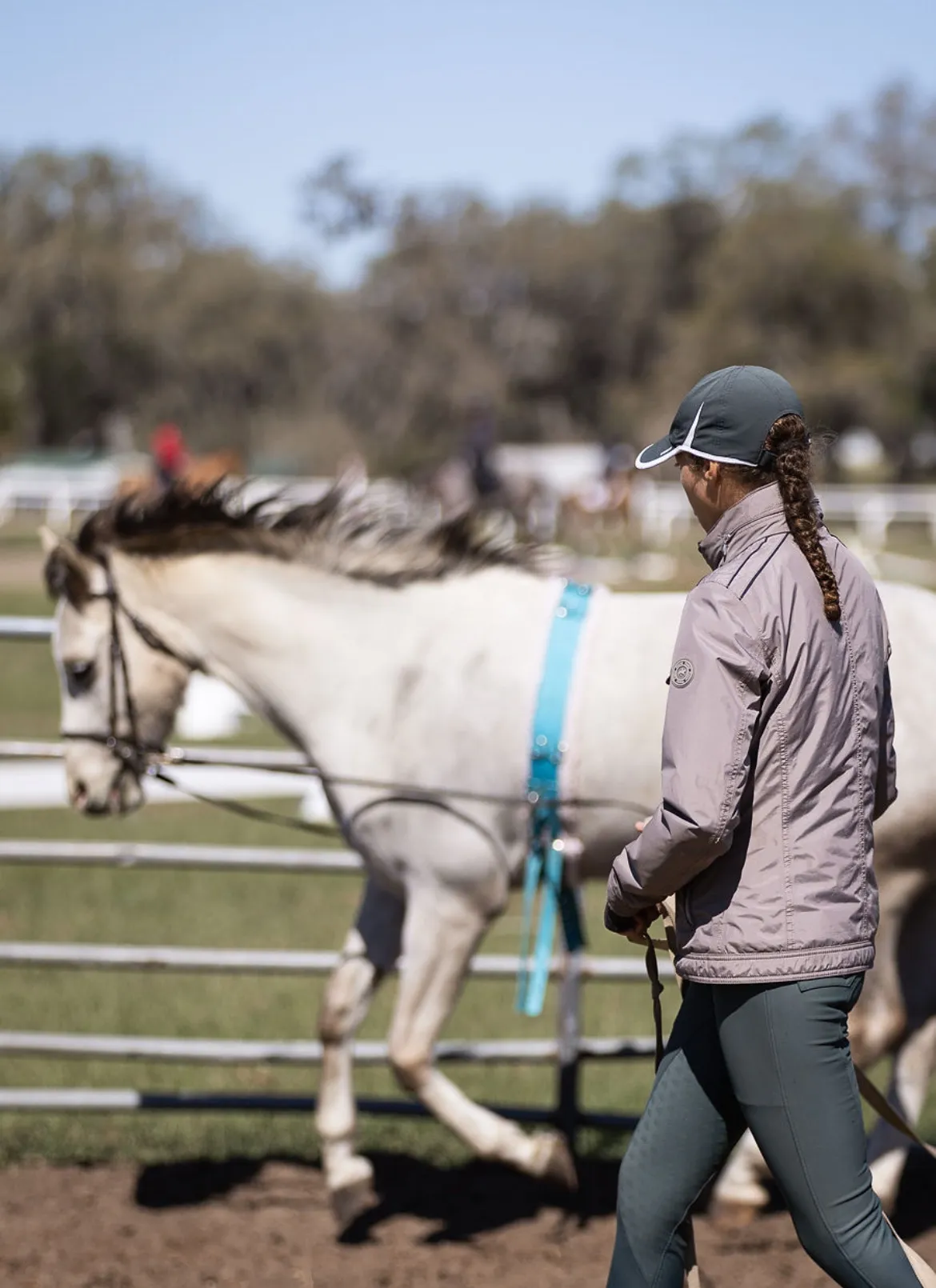 A trainer working with a grey horse beside the arena fence
