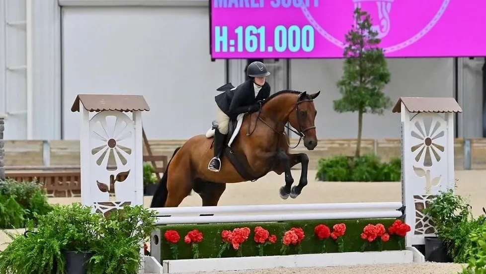 A bay hunter jumping a flower box fence at World Equestrian Center