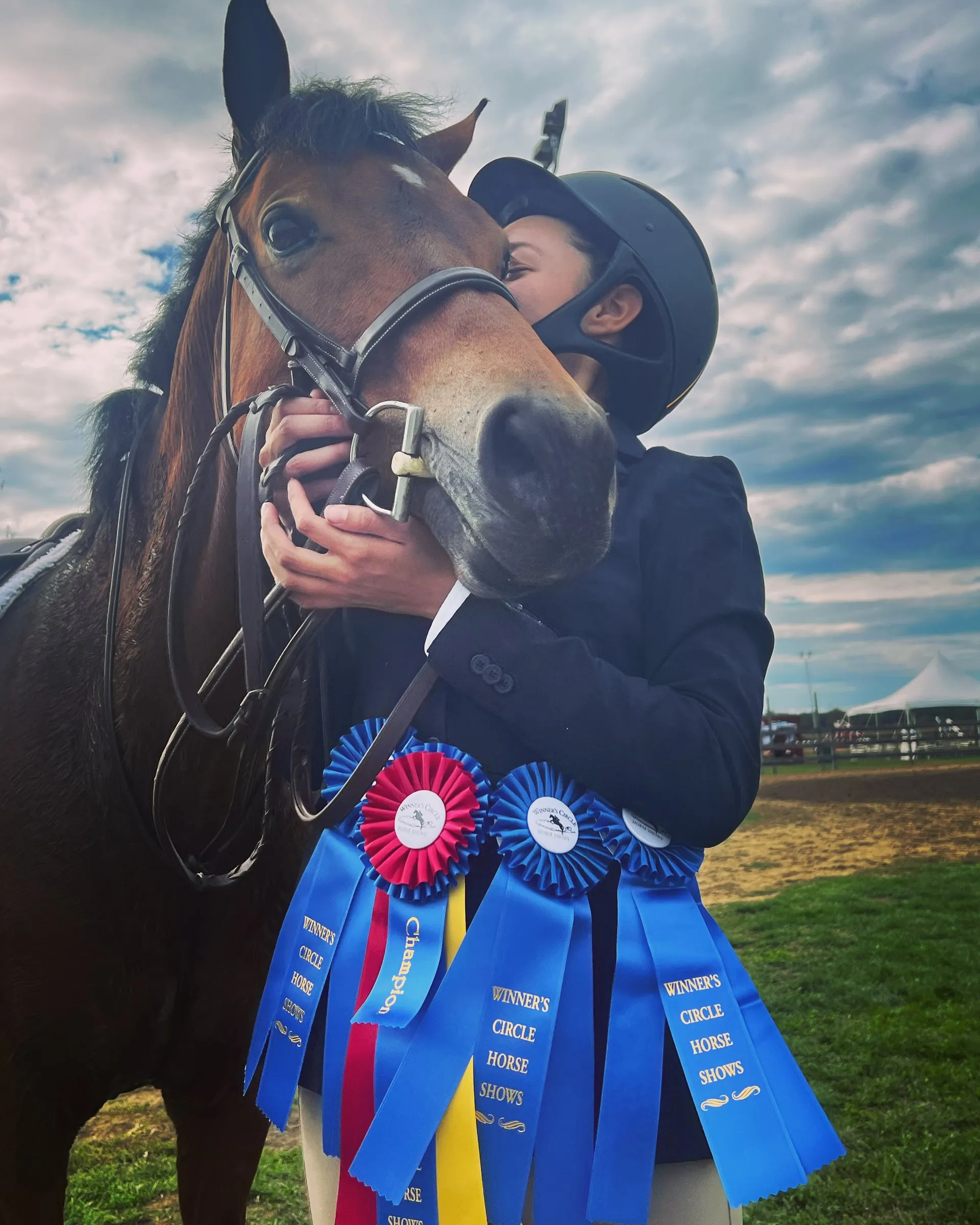 A rider kissing her bay pony, both covered in ribbons, at sunset