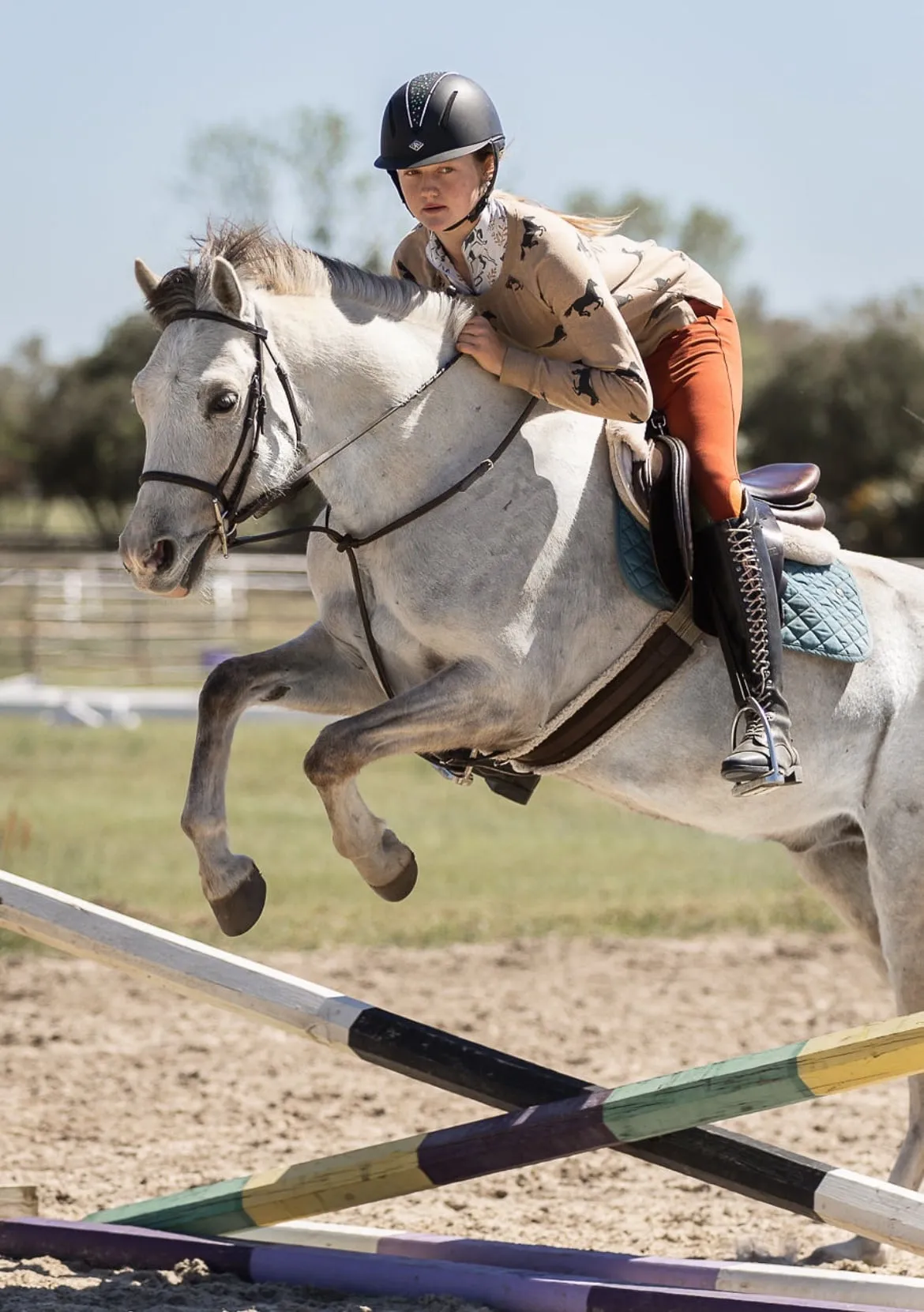 A grey pony jumping a rail with its young rider