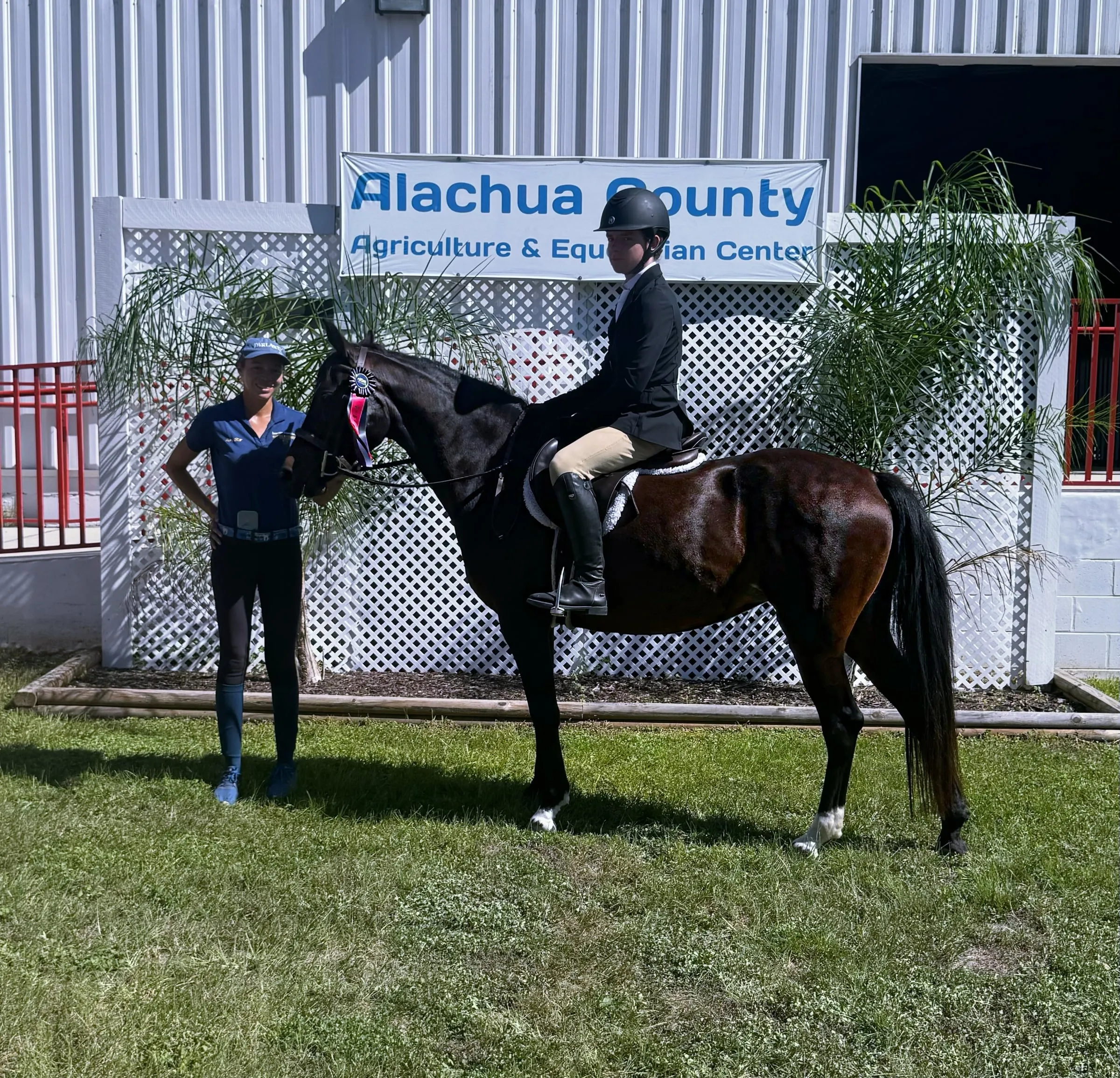 A rider on a dark pony at the Alachua County Agriculture & Equestrian Center