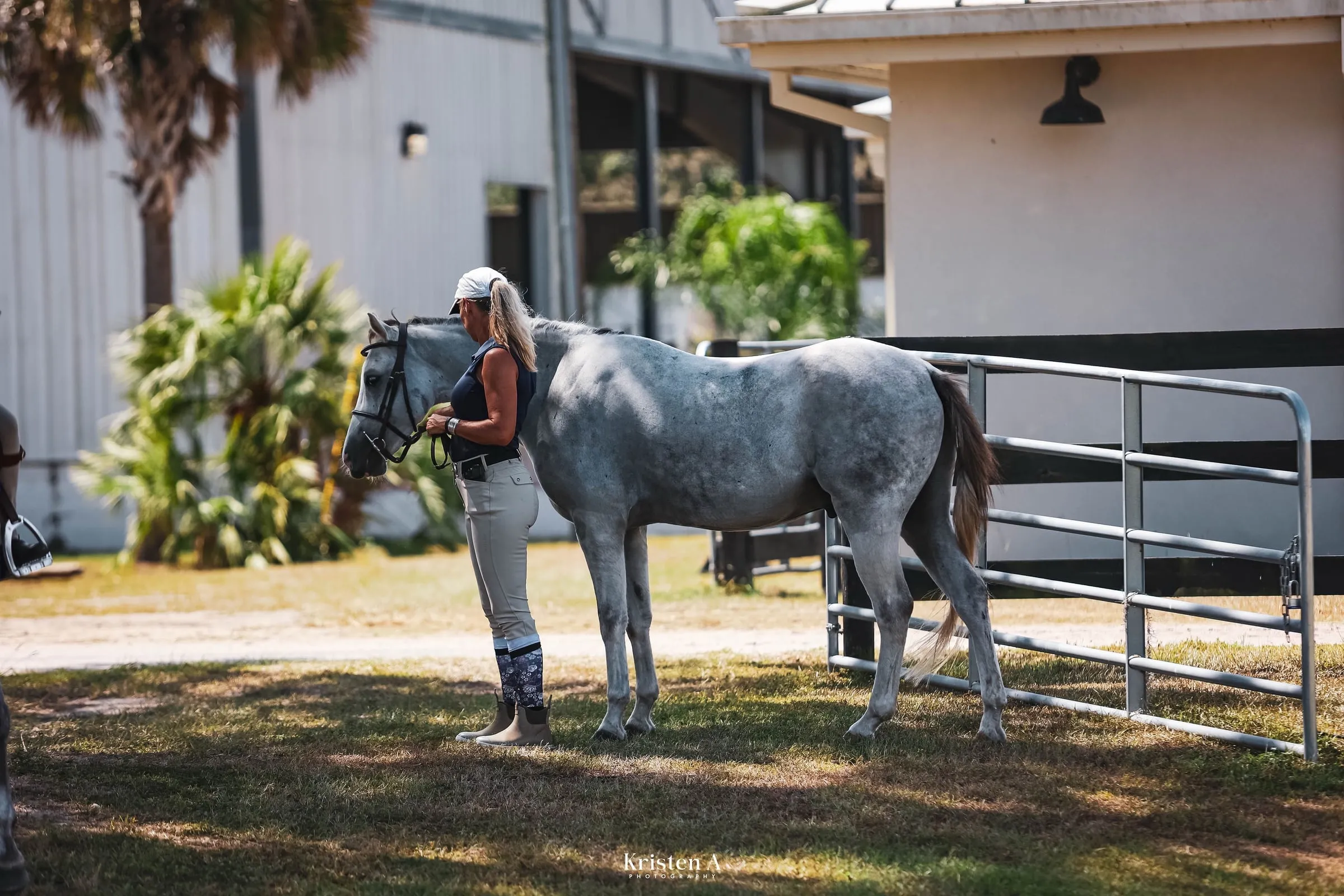 A grey pony standing quietly with its handler outside the barn