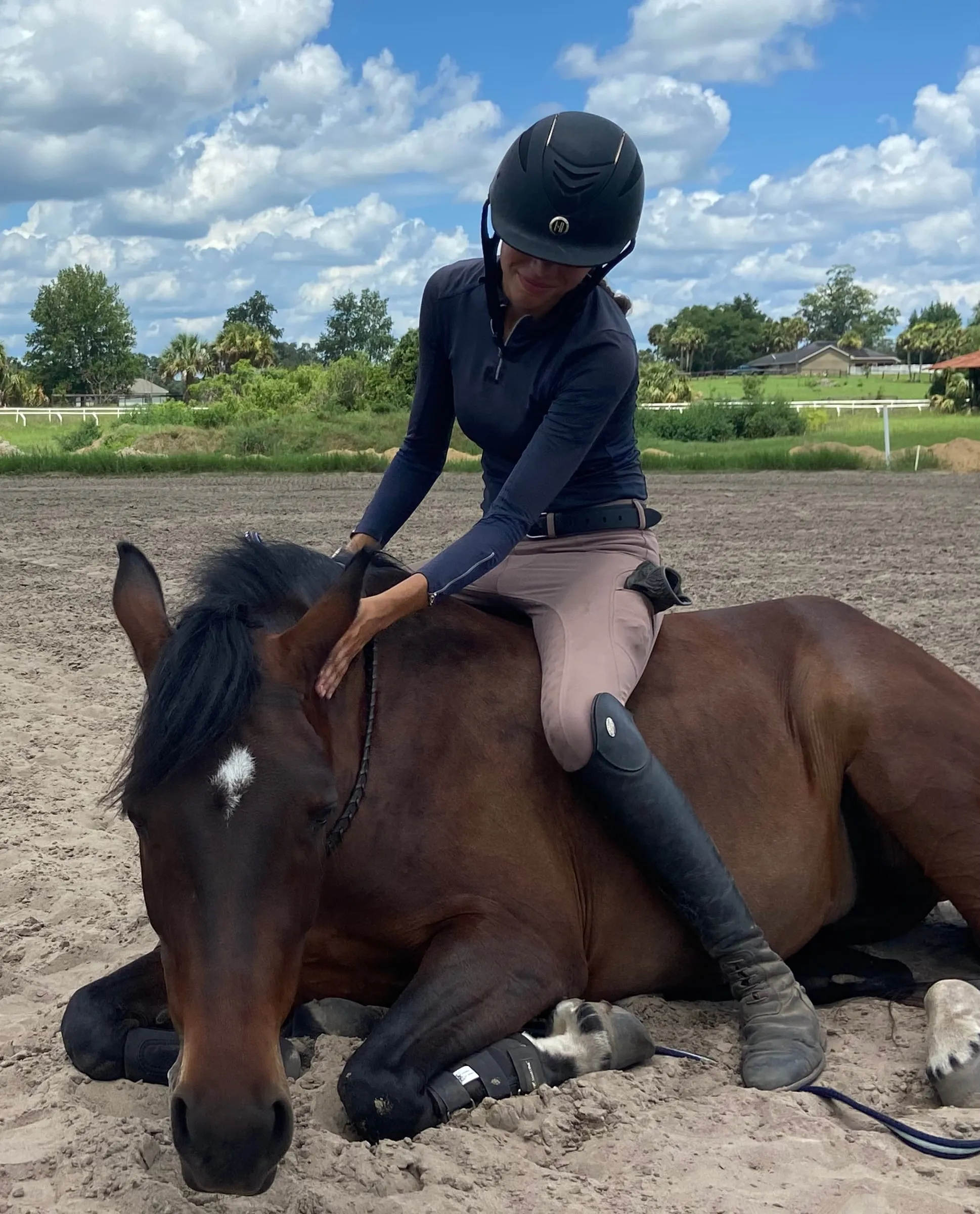 A rider sitting on a bay pony lying down calmly in the sand
