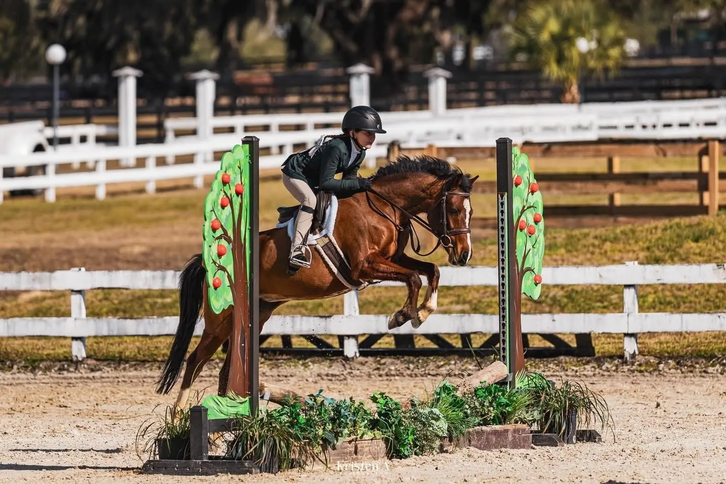 A pony and young rider jumping a green fence in the show ring