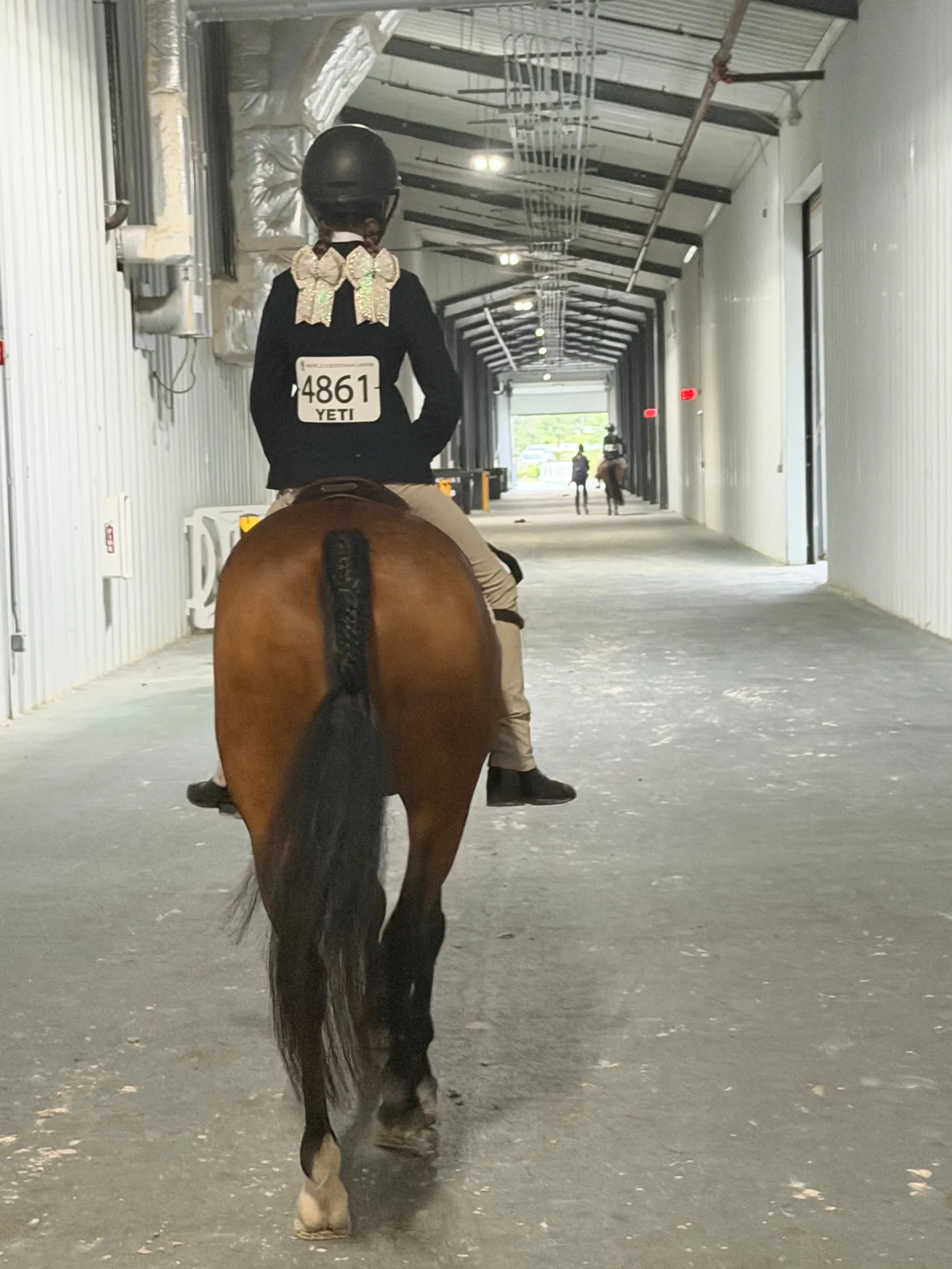 A rider on a bay pony heading down the barn aisle, number 4861 on her back
