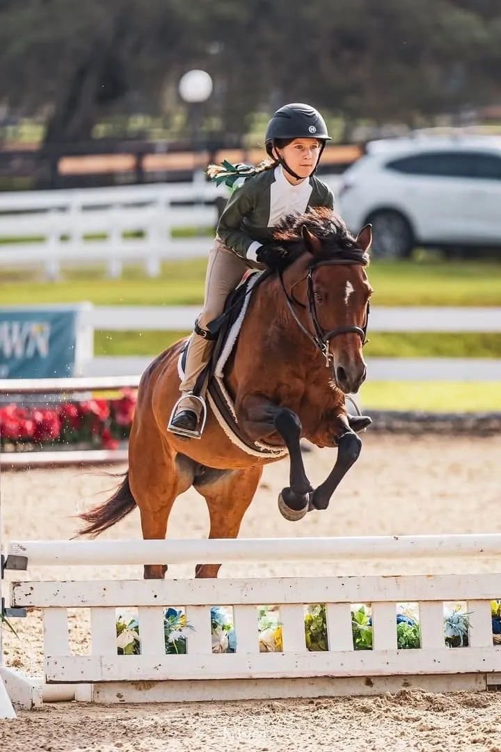A bay pony jumping a white fence with its young rider