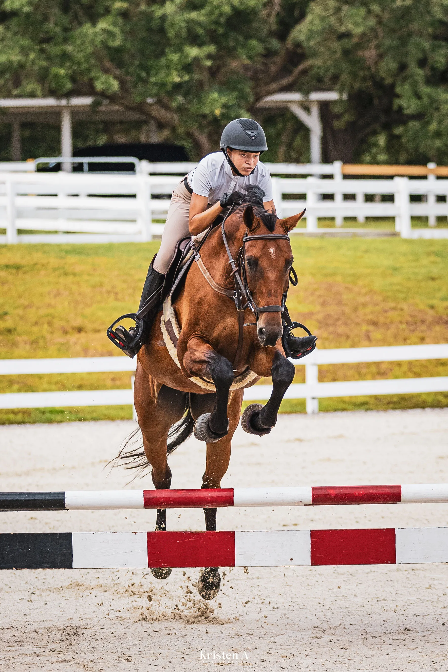 A rider jumping a bay horse head-on over a red and white rail in an outdoor arena